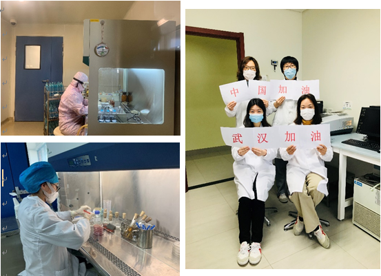 304am永利集团·(中国)有限公司官网